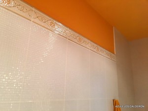 Baño C / Menendez Valdes