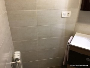 AZULEJO "BEIGE" SATINADO 30x60 Cm.