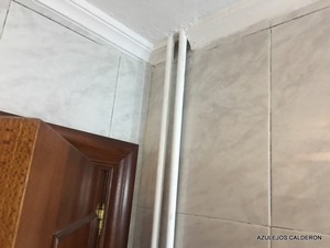 VISTA DEL BAÑO ANTES DE SU REFORMA