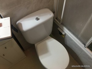 VISTA DEL BAÑO ANTES DE SU REFORMA