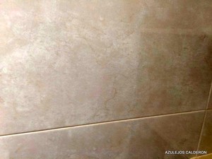 AZULEJO TRUBY BRILLO 33x55 CM.
