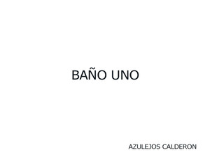AVENIDA CONSTITUCION BAÑOS UNO Y DOS 
