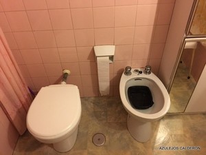 VISTA DEL BAÑO "ANTES" DE LA REFORMA