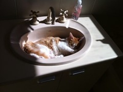 Manten constante el calor dentro de casa