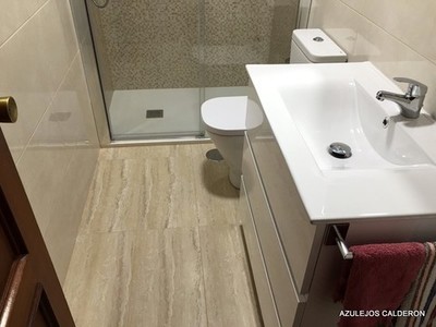 REFORMA DE DOS BAÑOS EN AVDA. CONSTITUCION .