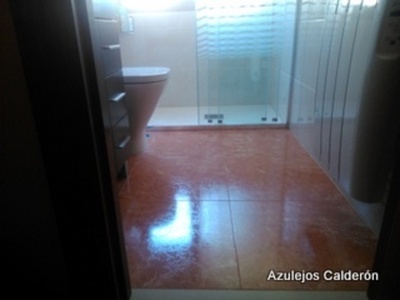 REFORMA DE BAÑO C/EL BIRLE
