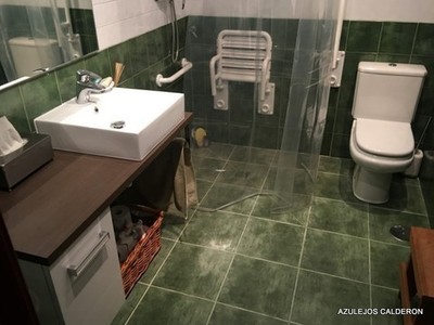 REFORMA DE BAÑO C/ CONCEJO DE LENA