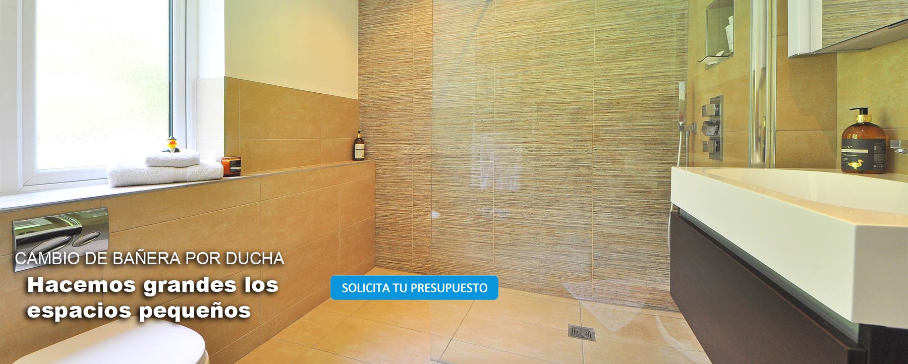 Imagen de seccin